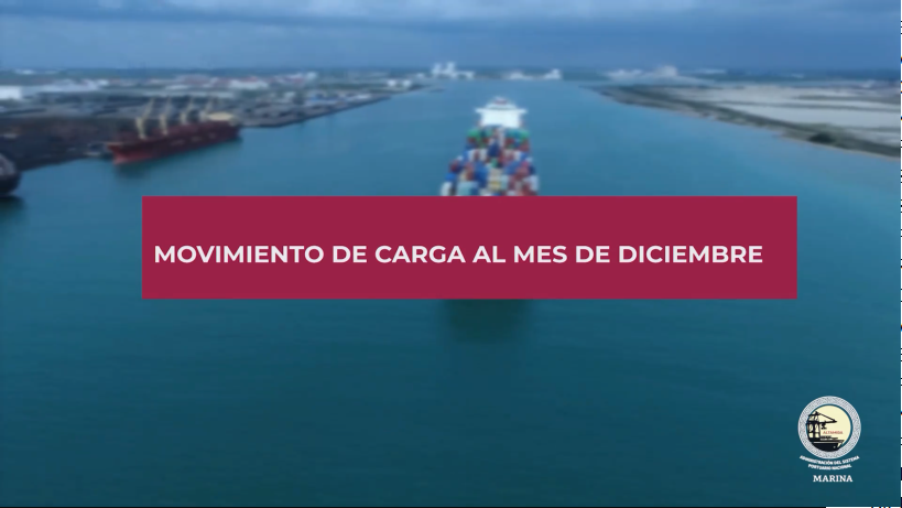 2024-08-20 17_49_48-CIERRE ESTADÍSTICO DEL PUERTO DE ALTAMIRA_ BALANCE DEL AÑO 2023 – ASIPONA Altami